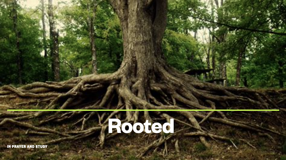 Rooted in Prayer and Study, Week 3 by Lance Steeves